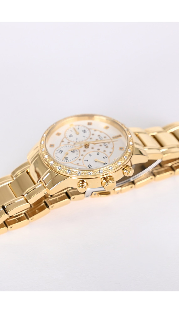 Montres Guess | À l'Ombre des Marques