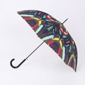 Parapluie - JPG 1164