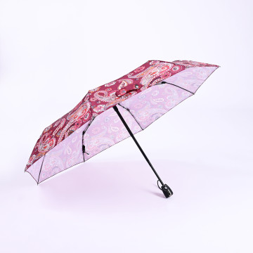 Parapluie - 32YC