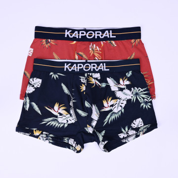 Boxer x 2 - Mayel