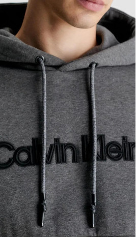 Sweat capuche - Raised Embroidered