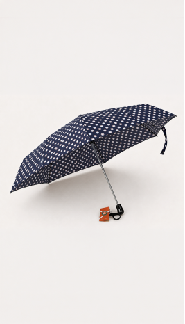 Parapluie - RG 13