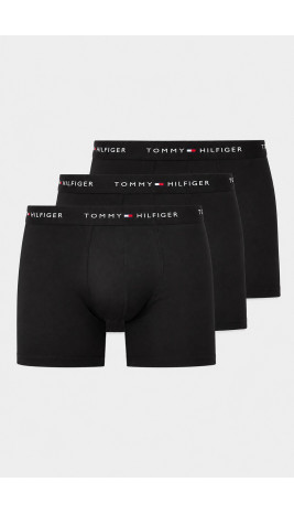 Boxer X3 - Trunk